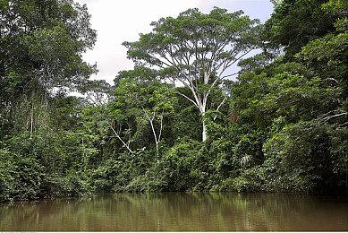 《炉石传说》“纳斯利亚堡的悬案”扩展包 8月3日上线